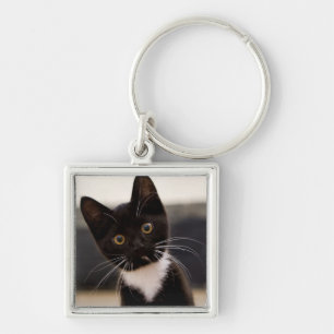 Cute Black And White Tuxedo Kitten Key Ring
