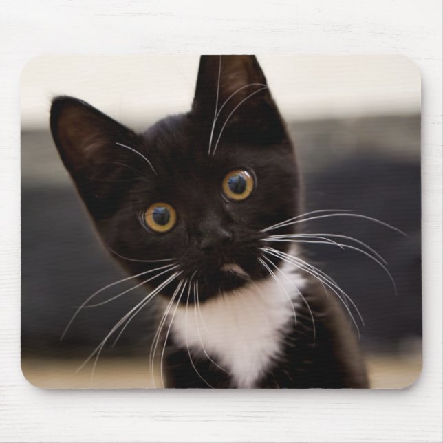 Cute Black And White Tuxedo Kitten Mouse Mat (Front)
