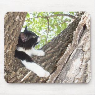 Cute Black and White Tuxedo Kitten Mouse Mat