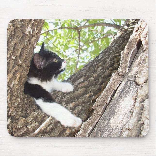 Cute Black and White Tuxedo Kitten Mouse Mat (Front)