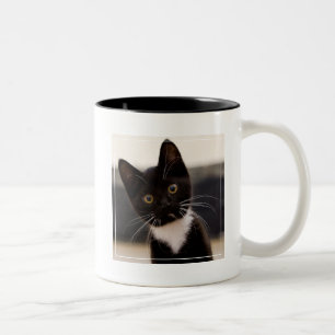 Cute Black And White Tuxedo Kitten Two-Tone Coffee Mug