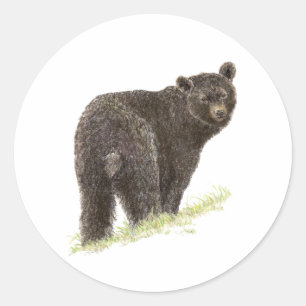 Cute Black Bear, Animal Nature, Wildlife Classic Round Sticker