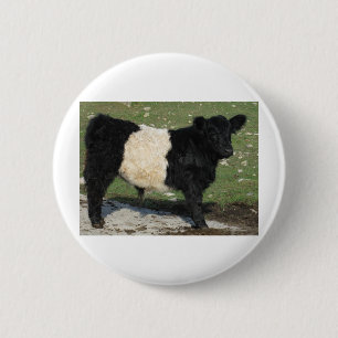 Cute Black Belted Galloway Calf 6 Cm Round Badge