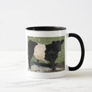 Cute Black Belted Galloway Calf Mug