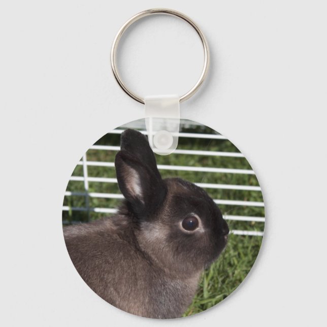 Cute black bunny on green grasses key ring (Front)