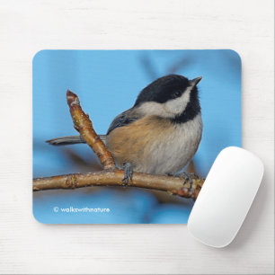 Cute Black-Capped Chickadee on Pear Tree Mouse Mat