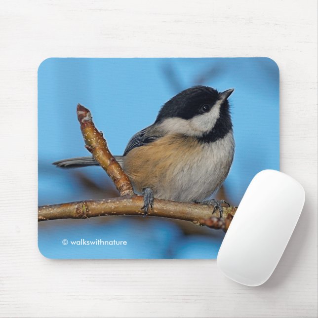 Cute Black-Capped Chickadee on Pear Tree Mouse Mat (With Mouse)