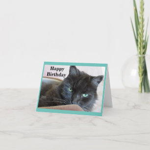 Cute Black Cat Birthday Card