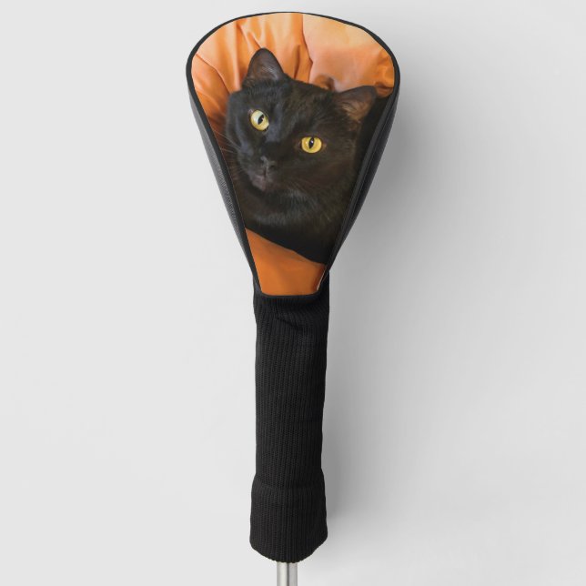 Cute Black Cat Golf Head Cover (Front)