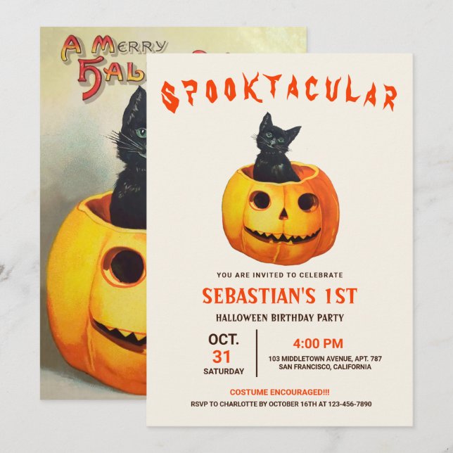 Cute Black Cat Halloween Birthday  Invitation (Front/Back)