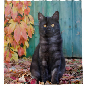 Cute Black Cat Kitten Red Leaves Blue Door / Tub Shower Curtain