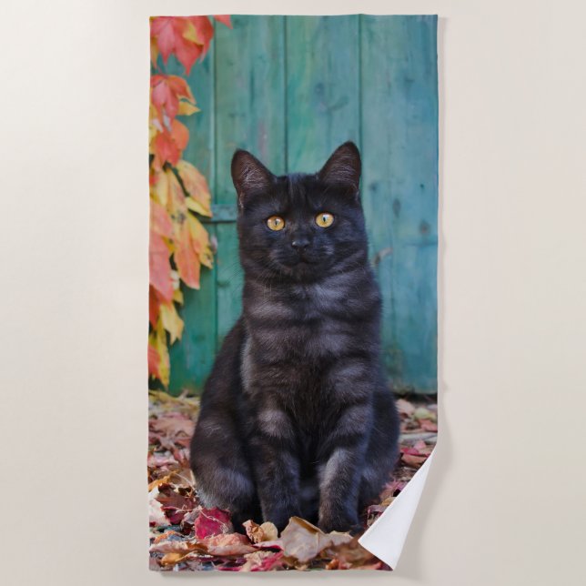 Cute Black Cat Kitten with Red Leaves Blue Door __ Beach Towel (Front)