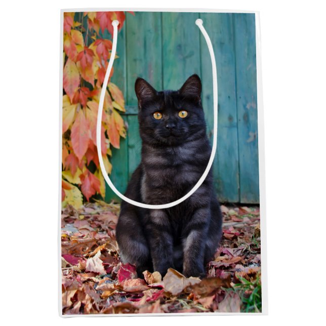 Cute Black Cat Kitten with Red Leaves Blue Door __ Medium Gift Bag (Front)