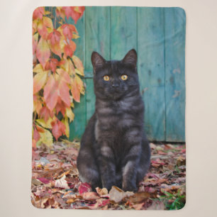 Cute Black Cat Kitten with Red Leaves Blue Door -- Sherpa Blanket
