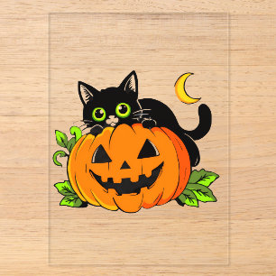 Cute Black Cat on Halloween Jack-O'-Lantern Pumpki Acrylic Invitations