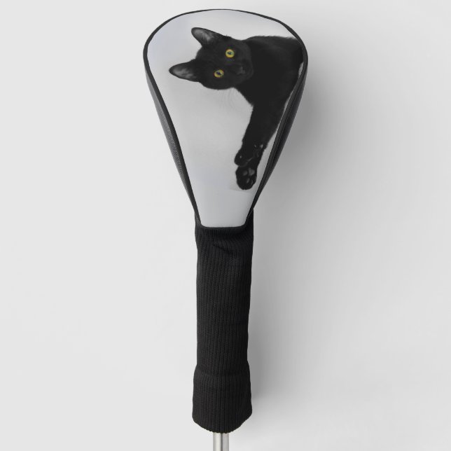 Cute Black Cat Photo Golf Head Cover (Front)