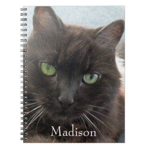 Cute Black Cat Photo Personalised Name  Notebook