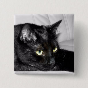 Cute Black Cat Portrait 15 Cm Square Badge