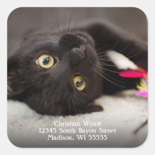 Cute Black Cat Return Address Square Sticker