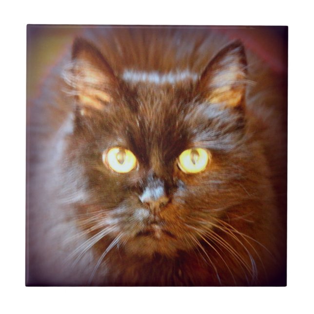 cute black cat tile (Front)