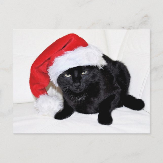 Cute Black Cat with Santa Hat Postcard (Front)
