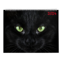 cute black cats 