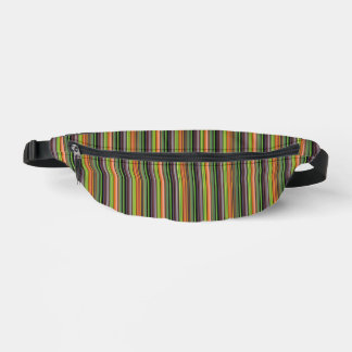 Cute black colourful stripes bum bags