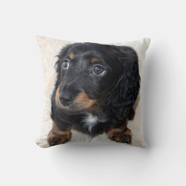 Cute black Dachshund Puppy Dog Cushion (Front)