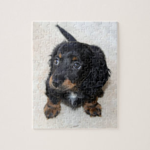 Cute black Dachshund Puppy Dog Jigsaw Puzzle