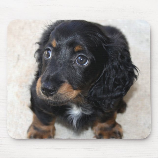 Cute black Dachshund Puppy Dog Mouse Mat (Front)