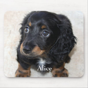 Cute black Dachshund Puppy Dog Pet Mouse Mat