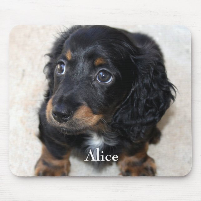 Cute black Dachshund Puppy Dog Pet Mouse Mat (Front)