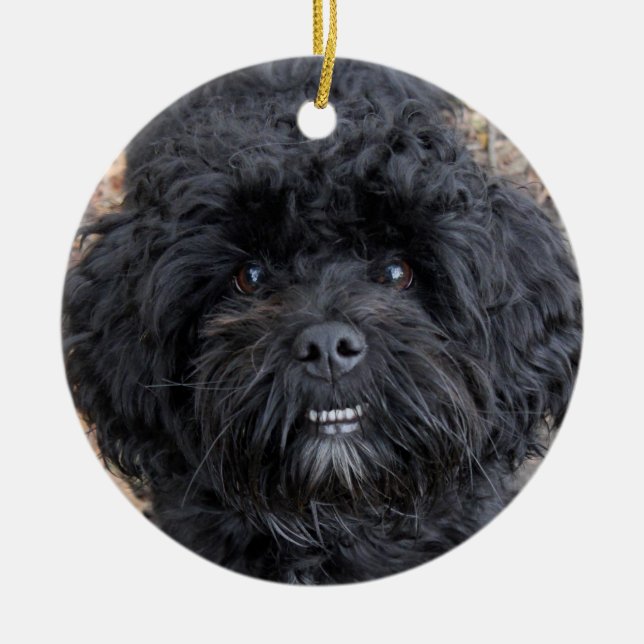 Cute black dog, ceramic tree decoration (Front)