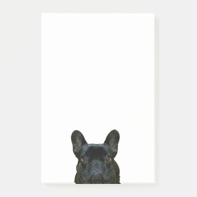 Cute Black French Bulldog Frenchie Photograph: Post-it Notes (Front)