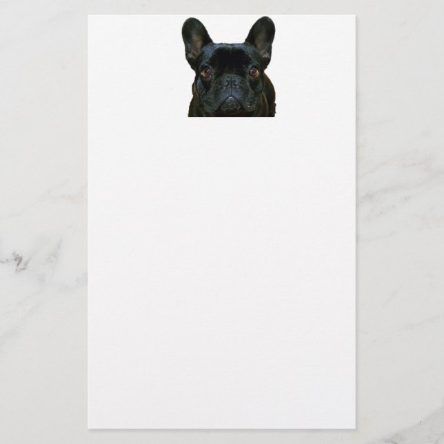 Cute Black French Bulldog Frenchie Photograph: Stationery (Front)