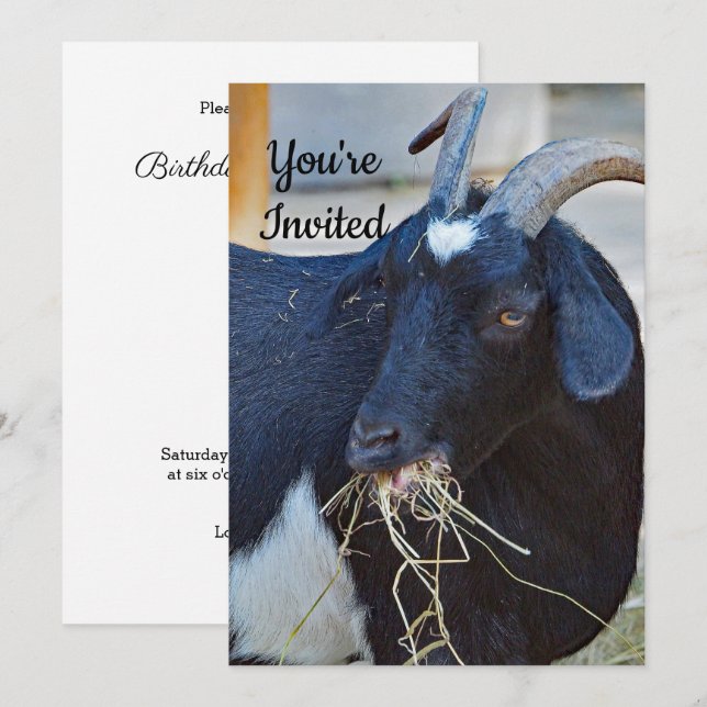 Cute Black Goat Photo Birthday Invitation (Front/Back)