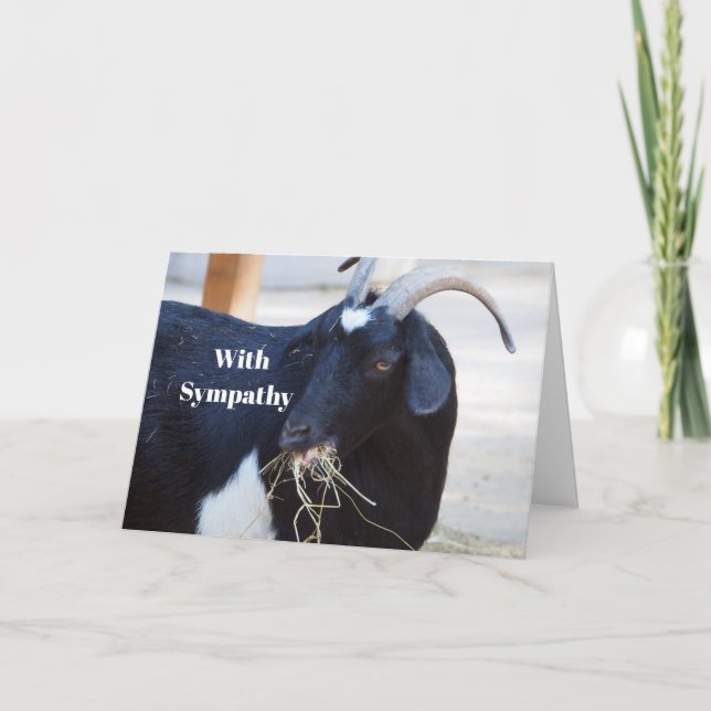 Cute Black Goat Photo Sympathy Card (Front)