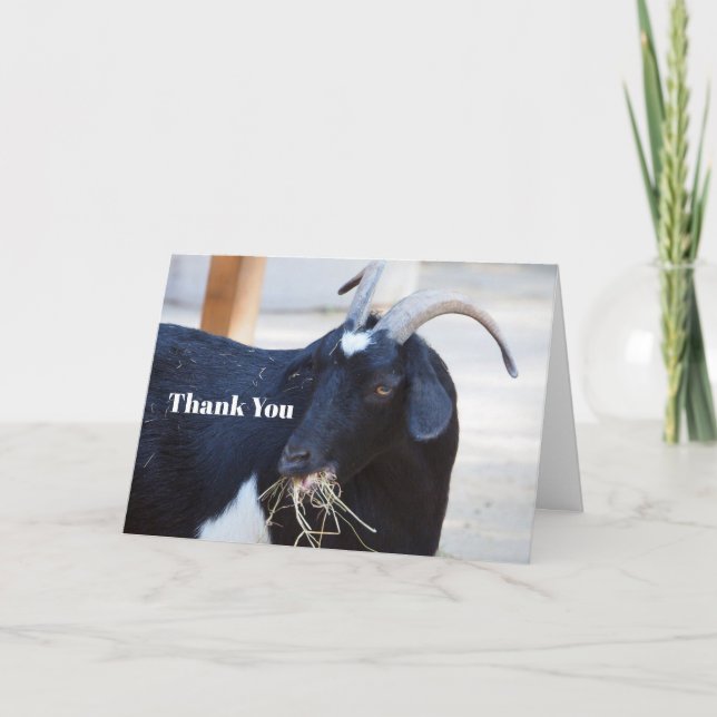 Cute Black Goat Photo Thank You Card (Front)