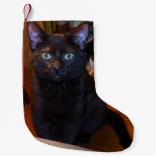 Cute Black Kitten Kitty Cat Photo Small Christmas Stocking