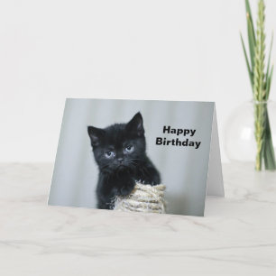 Cute Black Kitten Twine Photo Birthday Card