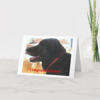 Cute Black Lab Dog Congratulations DVM Graduation Card