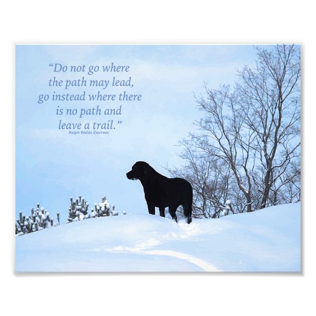 Cute Black Lab Labrador Retriever Dog Photo Print (Front)