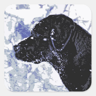 Cute Black Lab Labrador Retriever Dog Square Sticker