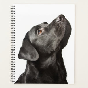 Cute Black Lab Puppy Dog  Love Labrador Retriever  Planner