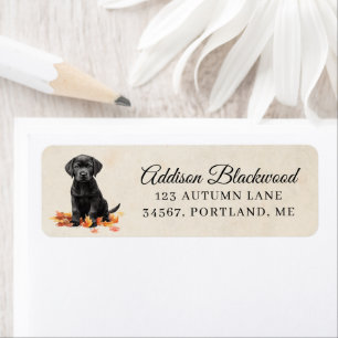 Cute Black Labrador Puppy Fall Leaves Return