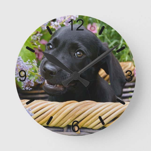 Cute Black Labrador Retriever Dog Puppy dial-plate Round Clock (Front)