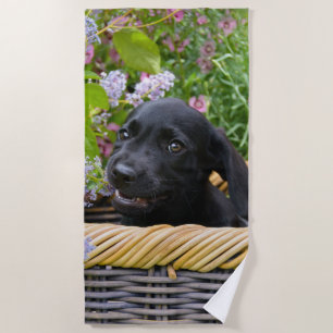 Cute Black Labrador Retriever Dog Puppy Pet Photo Beach Towel