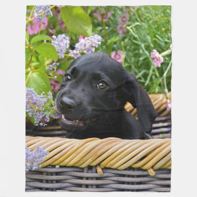 Cute Black Labrador Retriever Dog Puppy Pet Photo Fleece Blanket (Front)