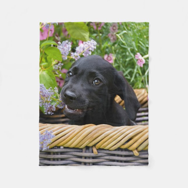 Cute Black Labrador Retriever Dog Puppy Pet Photo Fleece Blanket (Front)