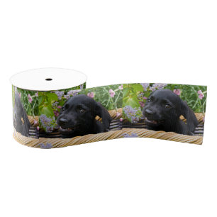 Cute Black Labrador Retriever Dog Puppy Pet Photo Grosgrain Ribbon